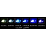 9006 10000K Xenon HID Conversion Kit